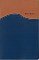 Holy Bible (Hardcover)
