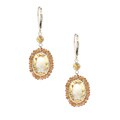 Zoe B 14k Gold Citrine Dangle Earrings