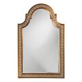 LaScarola Silver Resin Mirror