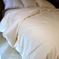 Summer Weight Organic Pure Grow Wool Twin-size Comforter