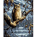 Paint By Number 'Night Owl' Kit