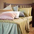 Dobby Dot 600 Thread Count Sheet Set