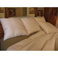 Organic Pure Grow Wool Medium Firmness European Square Pillow
