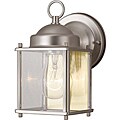 Outdoor 1-light Nickel Garden Light