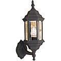 Transitional 1-light Black Outdoor Wall Light