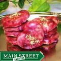 Butter Buttery Topping internet news Oma Gisi's Raspberry Glazed Butter Cookies (Box of 24)