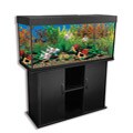 Delta Queen 66-gallon Rectangular Aquarium and Stand