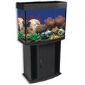 North Star 42-gallon Bow Front Aquarium and Stand