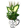 Tropical Plants 'Cat Lover' Ceramic Planter