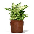 Rust Bucket Garden Planter