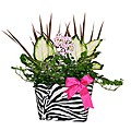 Vitality Black Hand Bag Tropical Planter
