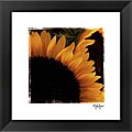John Jones 'Sunflower Daze' Framed Art Print