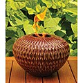 Bird Brain Red/ Gold Arani Wave Firepot