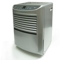 Studies on 45 Rpm Boxes LG RLD450EAL 45-pint Low Temperature Dehumidifier (Refurbished)