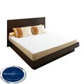 SplendoRest Support 8-inch Twin-size Foam Mattress-in-a-Box