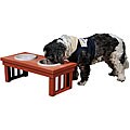 Small Raised Pet Feeder