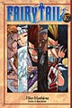 Fairy Tail 17 (Paperback)