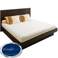 SplendoRest Support 10-inch Queen-size Foam Mattress-in-a-Box