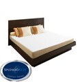 SplendoRest Support 8-inch Queen-size Foam Mattress-in-a-Box