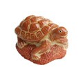 Tibetan Spa Turtle Foot Scrubber (Nepal)