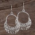Sterling Silver Nature Evolution Earrings (Israel)