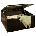 Broadway Bonded Leather Storage Cocktail Ottoman