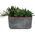 Laura Ashley Clay Container Succulents Silk Plants