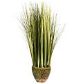 Laura Ashley Onion Grass in Ceramic Container