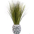 Laura Ashley Onion Grass in Designer Ceramic Container