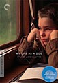 My Life As A Dog - Criterion Collection (Blu-ray)