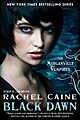 Black Dawn (Hardcover)