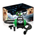 Bear Power Dryer