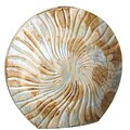 Large Shell Vase