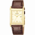 Citizen Men's Stainless Steel Brown Leather Watch
