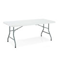 NPS Fold 'N' Half Blow Molded Folding Table