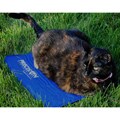 Precision Pet Small K9 Cool Pad