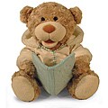 Storytime Teddie Stuffed Animal Toy