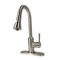 Pull-down Brushed Nickel Kitchen Faucet