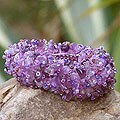 Handcrafted Amethyst 'Violet Garland' Stretch Bracelet (Thailand)