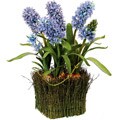 20-inch Hyacinths in Twig Basket