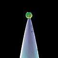 Peter Gabriel - New Blood