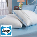 Sealy Egyptian Cotton 300 Thread Count Stain-resistant Pillow Protectors (Set of 2)