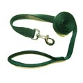 Hamilton Dark Green 1-inch 4-foot Single Nylon Leash
