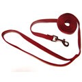 Hamilton Red 6-foot Single Nylon Leash