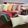 Egyptian Cotton 300 Thread Count Stripe Twin/ Twin XL-size Sheet Set