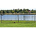 Rolbak 20-foot Basketball Guard Net