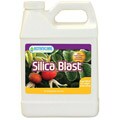 Botanicare Silica Blast Plant Nutrients