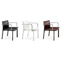 Brazil Conference Chair (Set of 2)