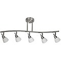Transitional 5-light Brushed Nickel Rail