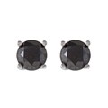 14k White Gold 1/2ct TDW Black Diamond Stud Earrings